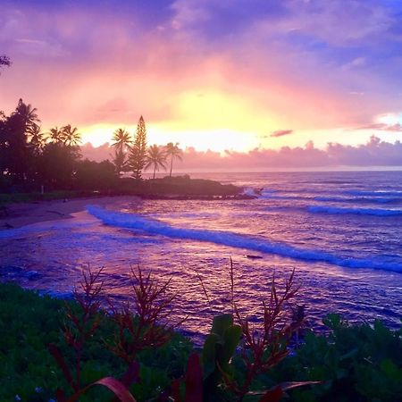 Lanikai Condos Kapa'a Exteriör bild